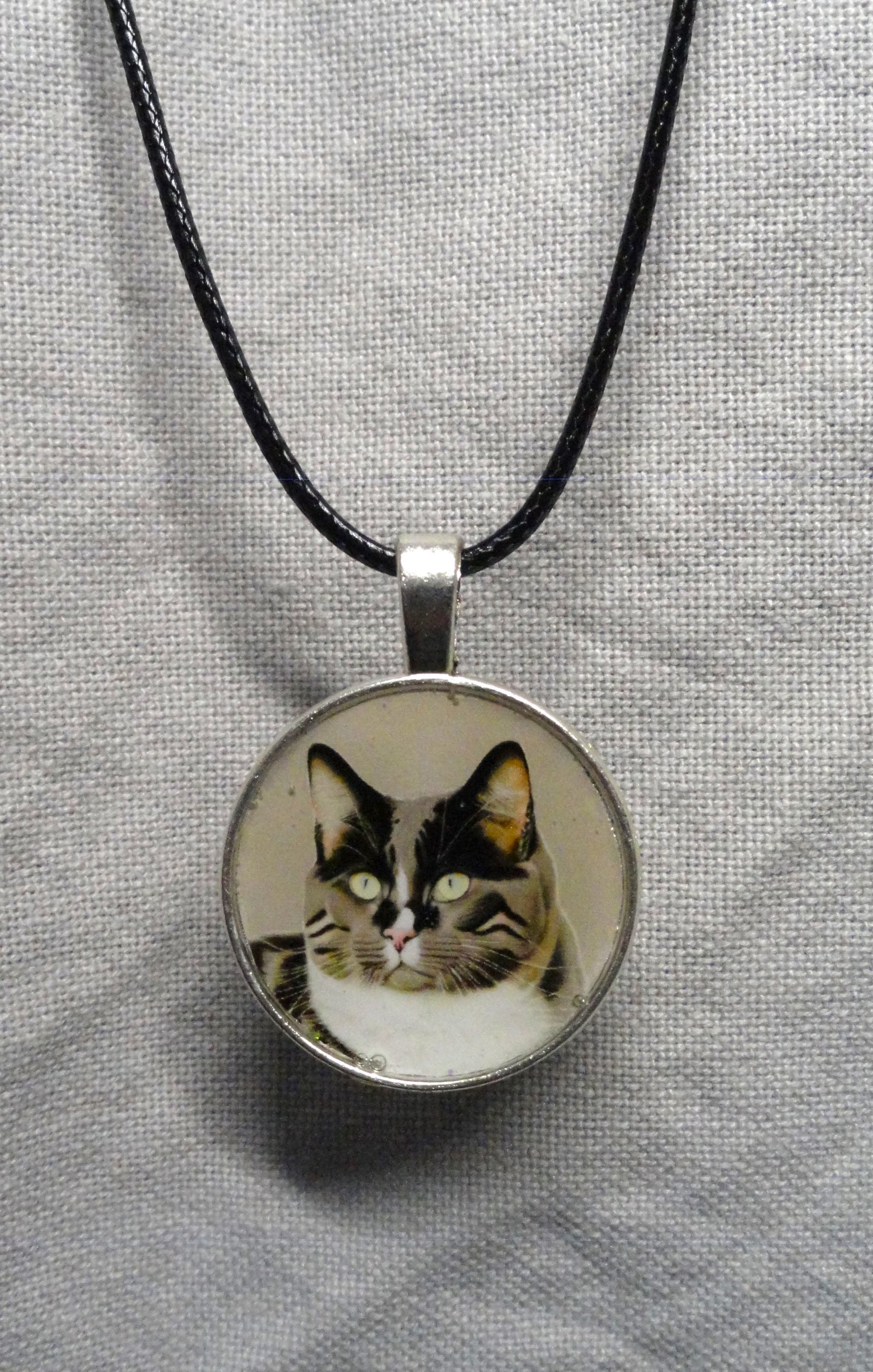 Scooter Rescue Cat Digital Art Necklace