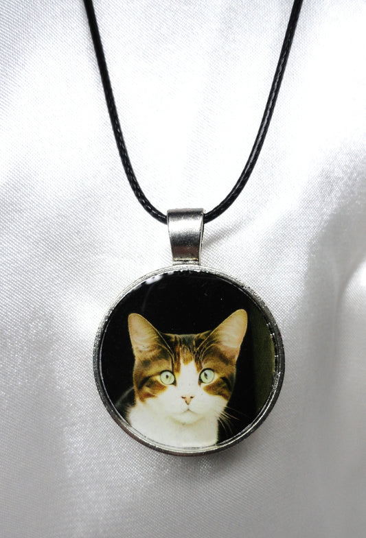 Dolly Rescue Cat Digital Art Necklace